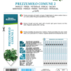 Persil commun 2
