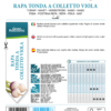 Navet potager Tonda a Colletto Viola
