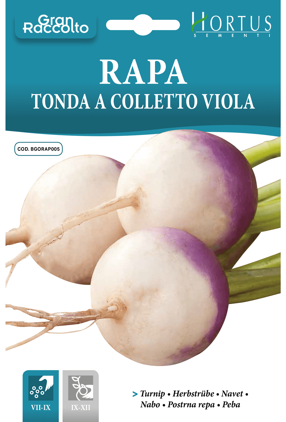 Navet potager Tonda a Colletto Viola