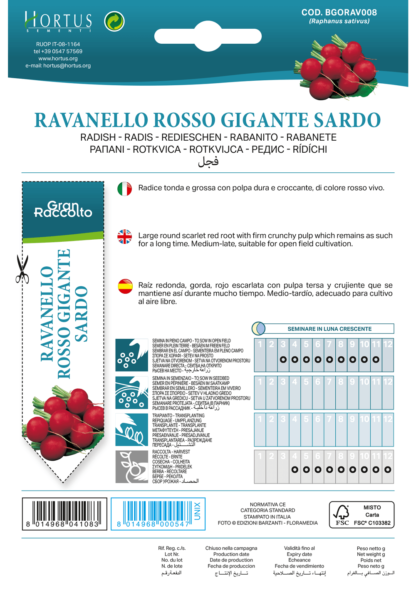 Radis Rosso Gigante Sardo