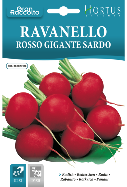 Radis Rosso Gigante Sardo