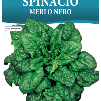 Épinard Merlo Nero