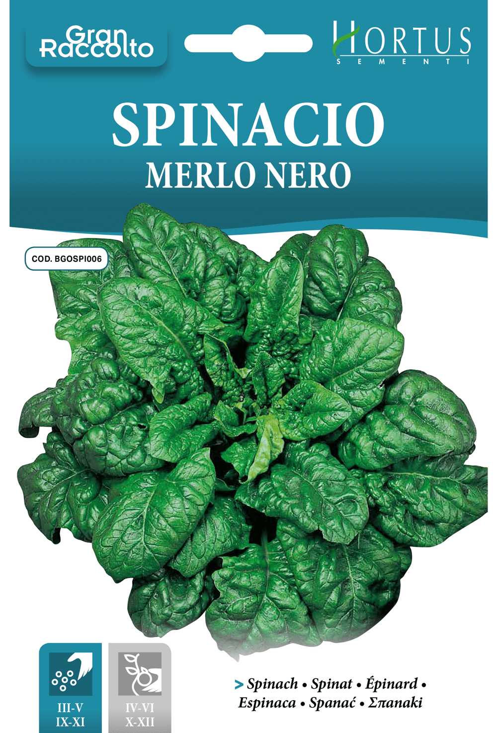 Épinard Merlo Nero