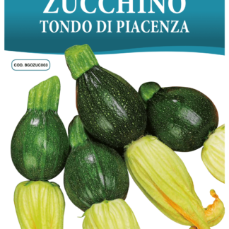 Courgette ronde de Piacenza