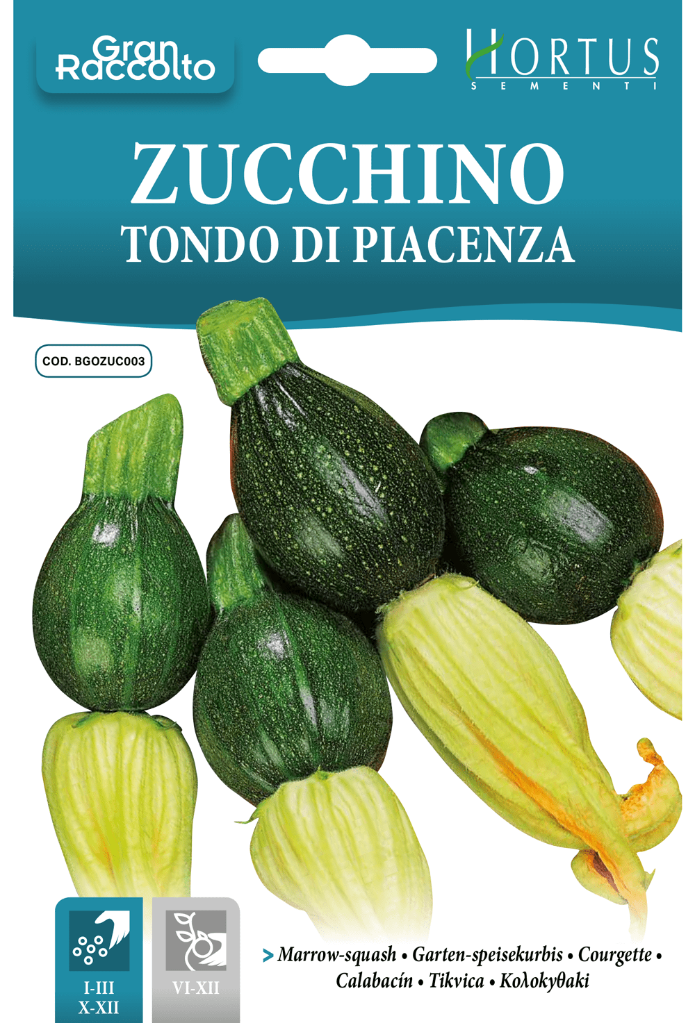 Courgette ronde de Piacenza