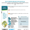 Courgette blanche de Sicile