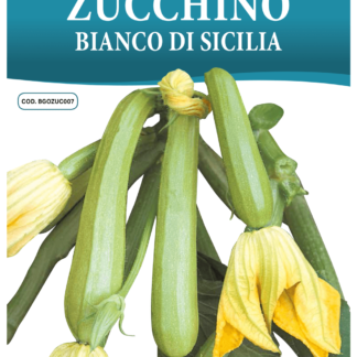 Courgette blanche de Sicile