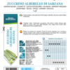 Courgette Alberello di Sarzana