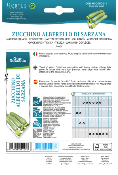 Courgette Alberello di Sarzana