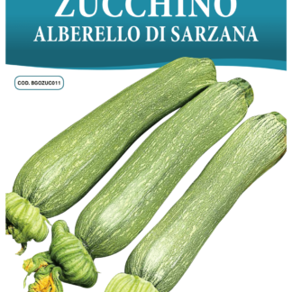 Courgette Alberello di Sarzana