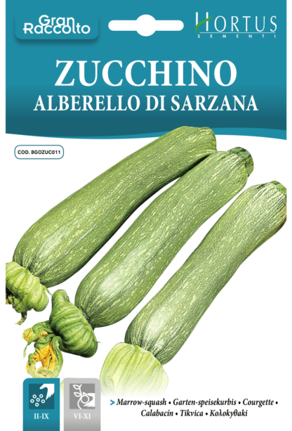 Courgette Alberello di Sarzana