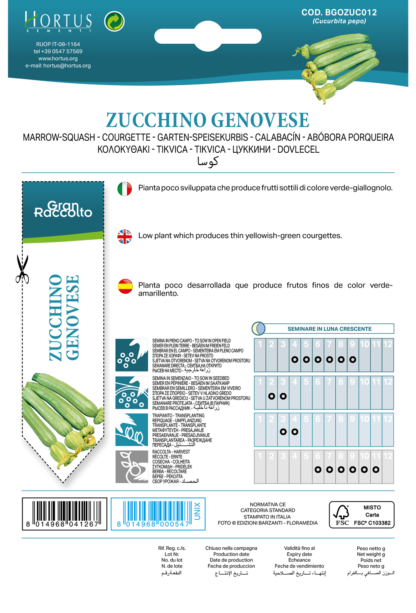 Courgette Genovese