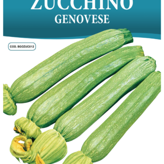 Courgette Genovese