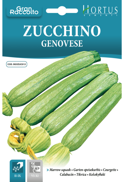 Courgette Genovese