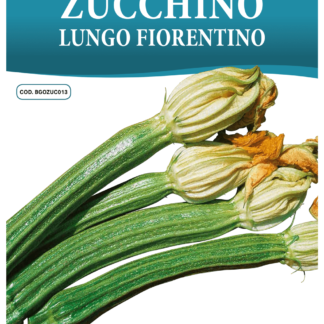 Courgette longue de Fiorentino