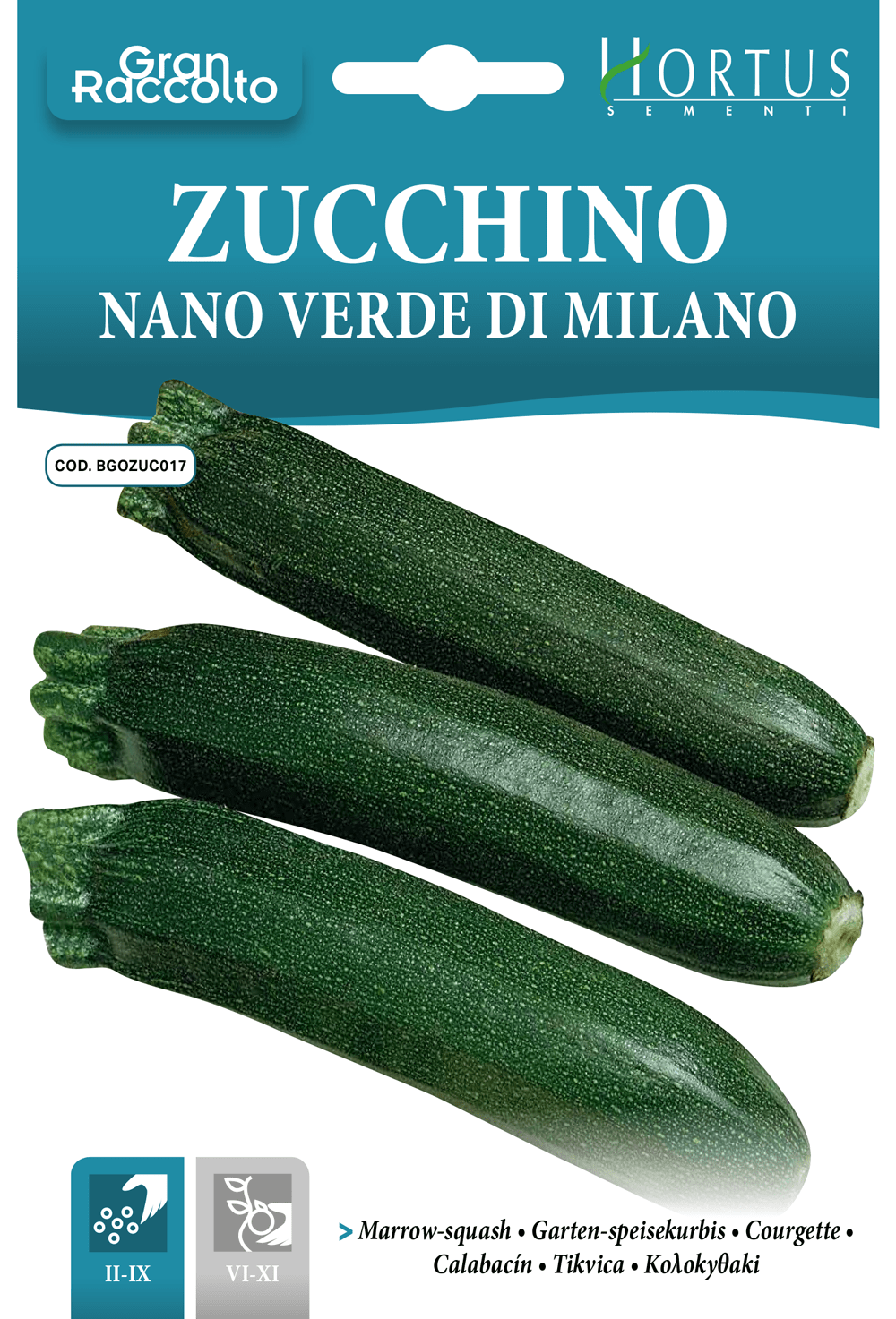 Courgette verte de Milan