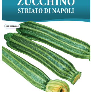 Courgette striée de Naples