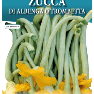 Courge Trompette d'Albenga