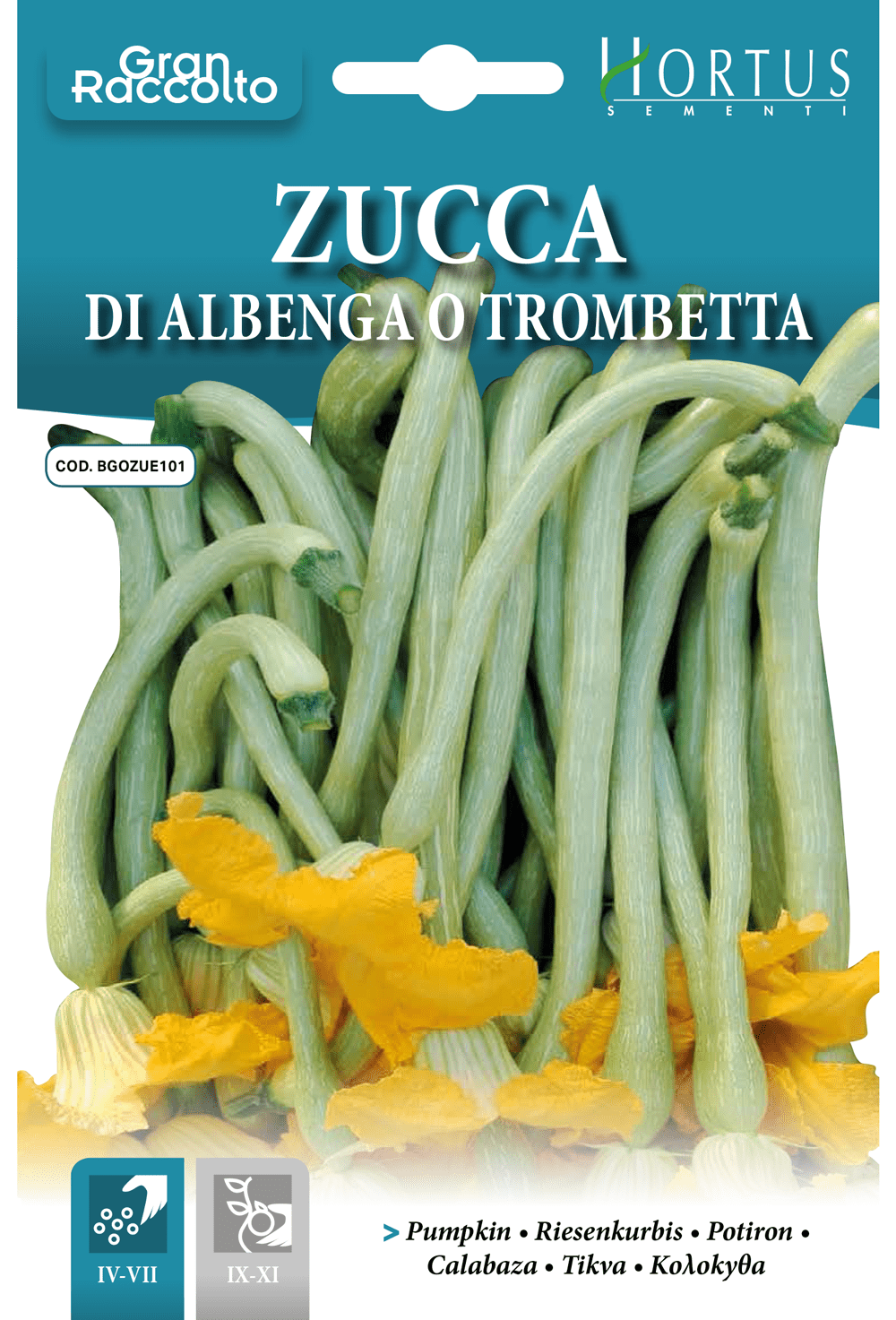 Courge Trompette d'Albenga