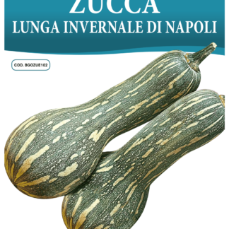 Courgette longue de Naples
