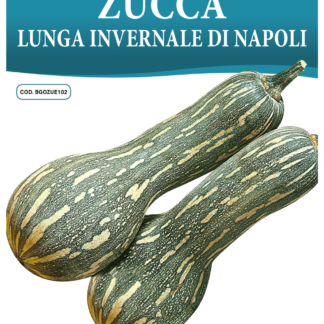 Courge longue de Naples