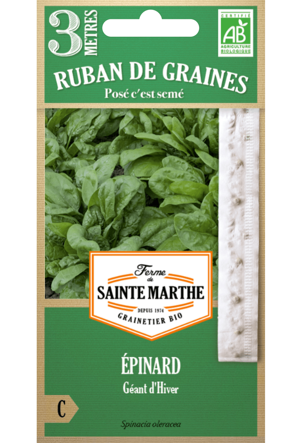 Épinard Géant d'Hiver ruban 3m