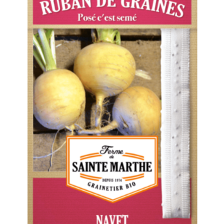 Navet Jaune Boule d'Or ruban 3m