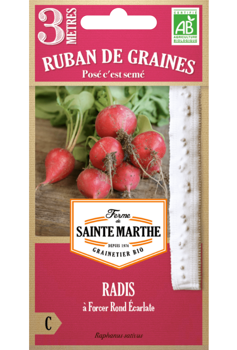 Radis à Forcer Rond Écarlate ruban 3m