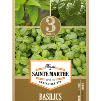 Basilics en mélange (Cannelle, Géant Monstrueux, Grand Vert)