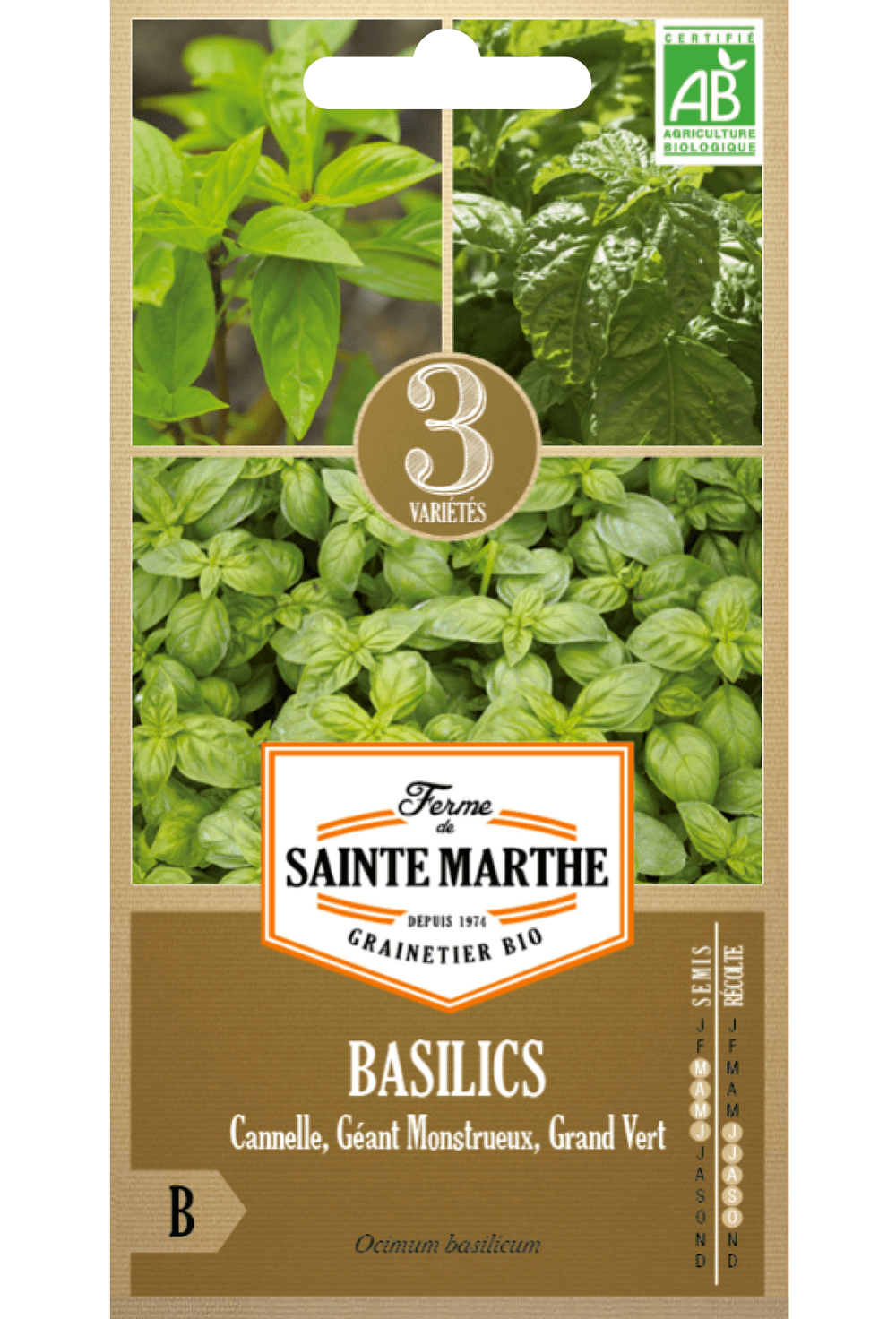 Basilics en mélange (Cannelle, Géant Monstrueux, Grand Vert)