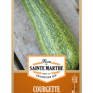 Courgette Greyzini (Grisette de Provence)