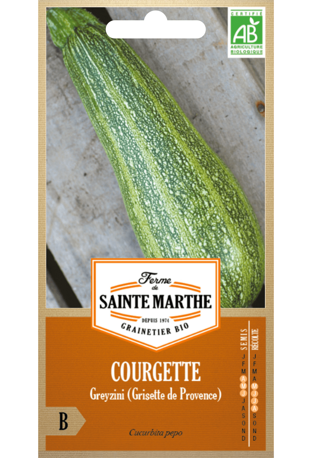 Courgette Greyzini (Grisette de Provence)