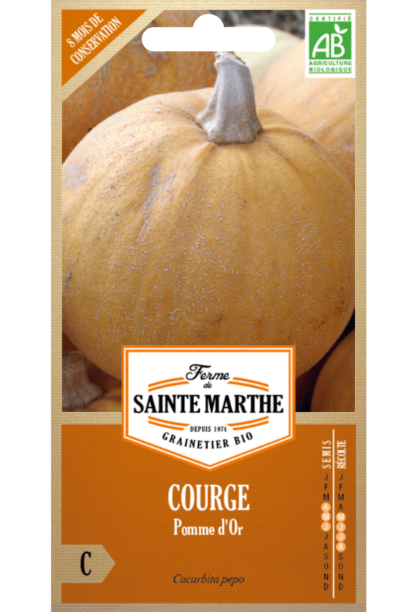 Courge Pomme d'Or