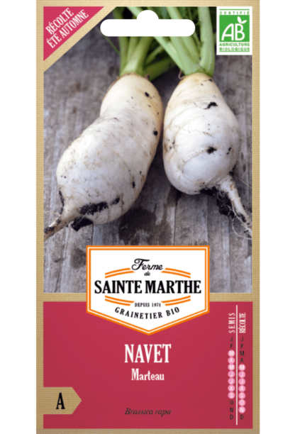 Navet Marteau