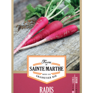 Radis Rosé de Pâques 3