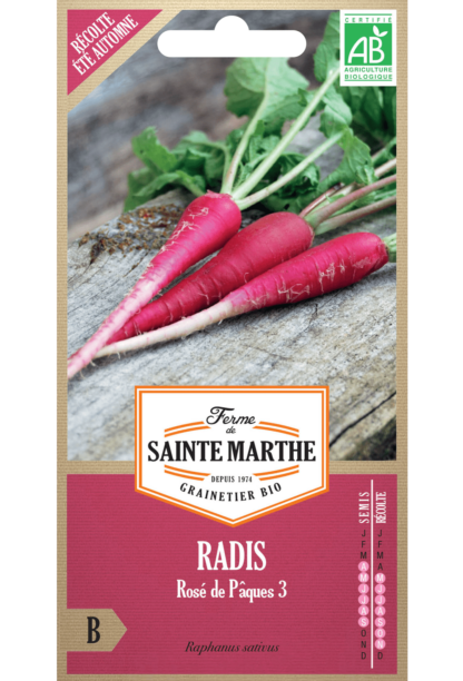 Radis Rosé de Pâques 3