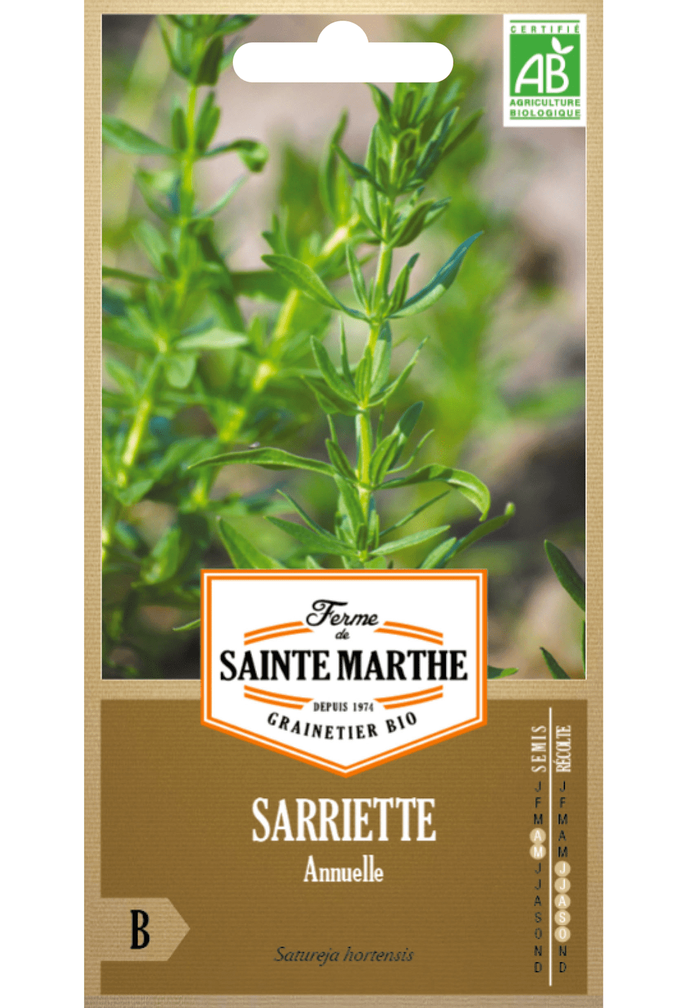 Sarriette Annuelle