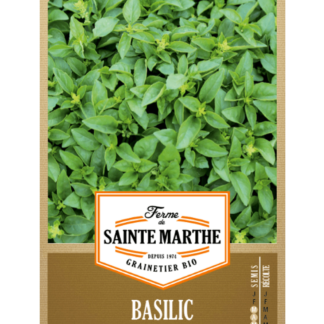 Basilic Marseillais