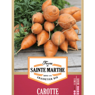 Carotte Marché de Paris 3