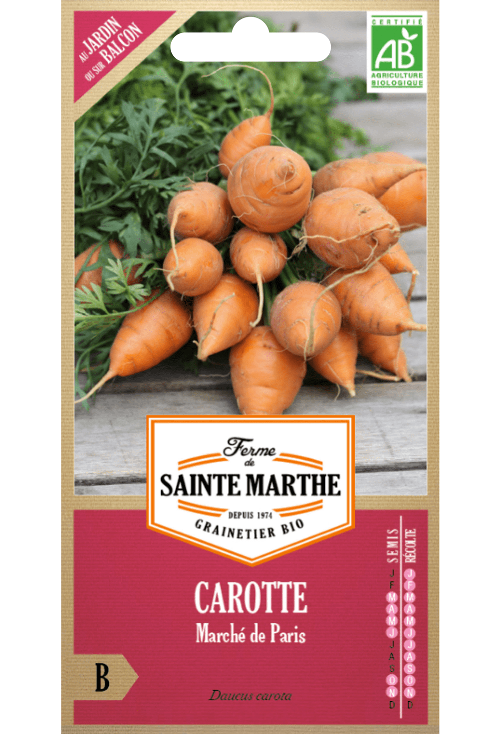 Carotte Marché de Paris 3