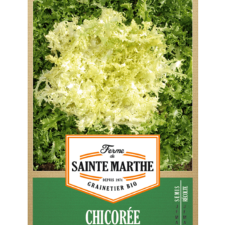 Chicorée Frisée de Meaux