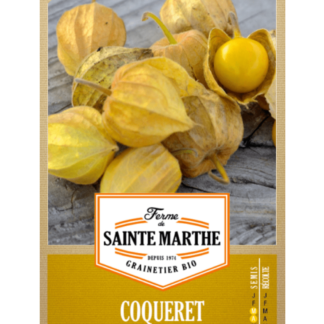 Coqueret du Pérou