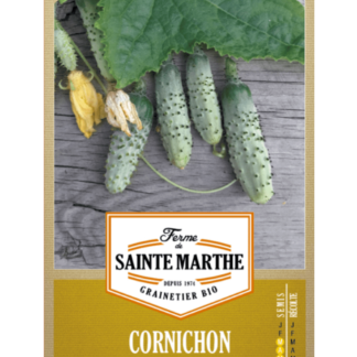 Cornichon Vert Petit de Paris