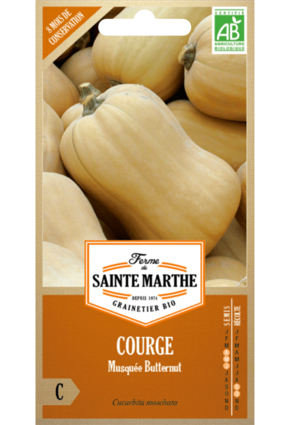 Courge Musquée Butternut