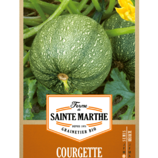 Courgette de Nice à Fruit Rond