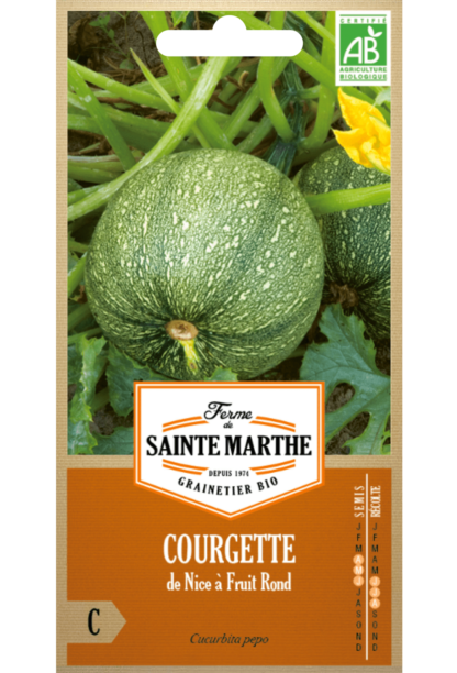 Courgette de Nice à Fruit Rond