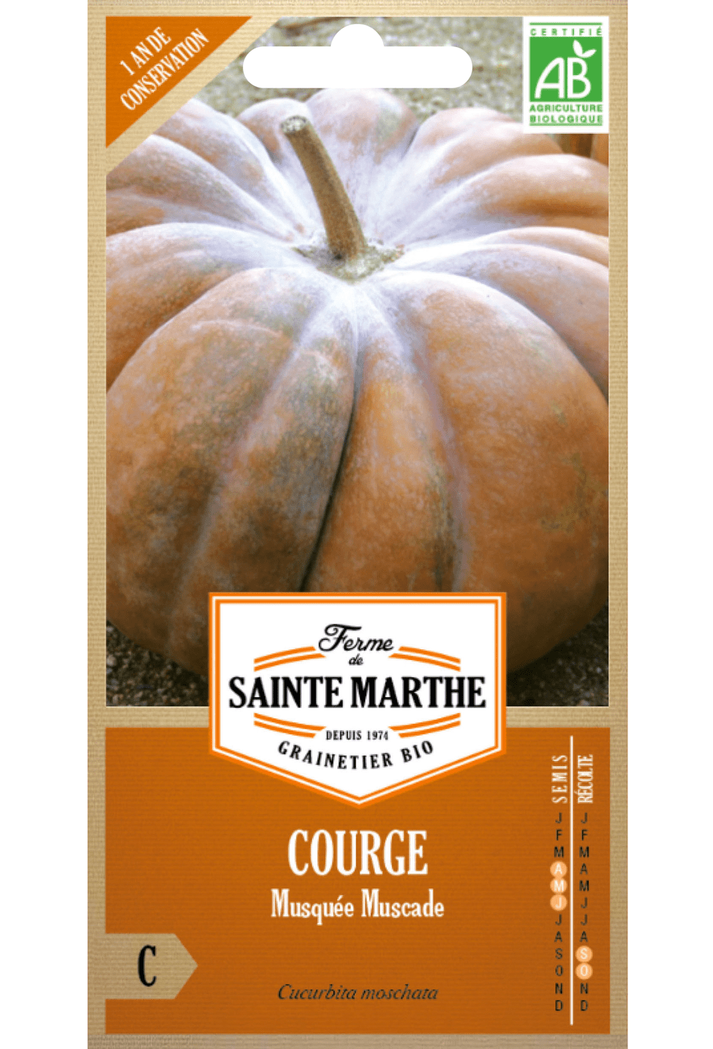 Courge Musquée Muscade