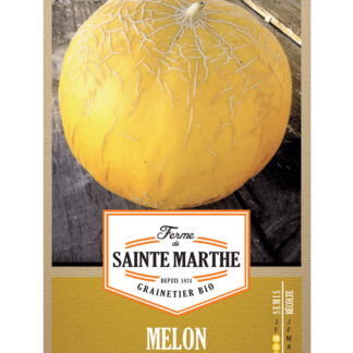 Melon Boule d'Or