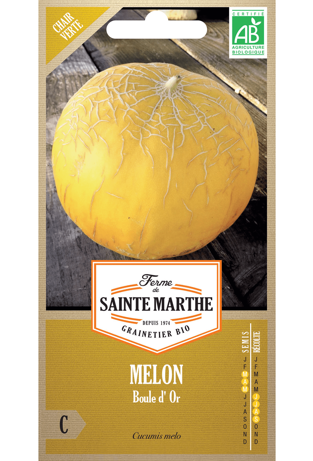 Melon Boule d'Or