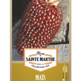 Maïs Pop-Corn Fraise